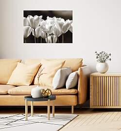 Wandsticker QUEENCE "Black & White", 