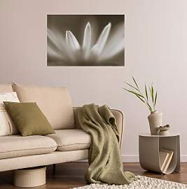 Wandsticker QUEENCE "Blüte", beige,