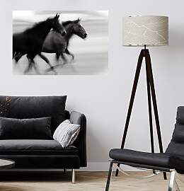 Wandsticker QUEENCE "Horses", schwarz,