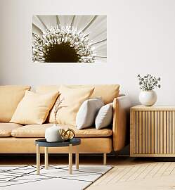 Wandsticker QUEENCE "Sonnenblume",