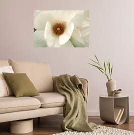 Wandsticker QUEENCE "White Love", weiß, 