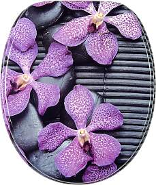WC-Sitz SANILO "Vanda", lila (violett),