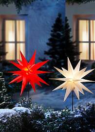 Weihnachtsstern mit Erdspieß, Gelb, Größe