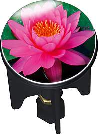 WENKO Waschbeckenstöpsel Pluggy® Pink Lily -