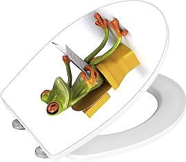 WENKO WC-Sitz Hochglanz Acryl Frog News, High