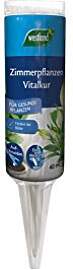 Westland Zimmerpflanzen Vitalkur, 40 ml –
