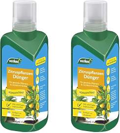 Westland Zitruspflanzen Dünger, 500 ml –