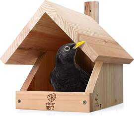 wildtier herz I Amsel Nistkasten aus verschraubtem 