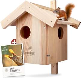 wildtier liebe Eichhörnchen Kobel - Nest für
