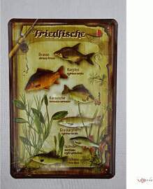 WOGEKA ART Retro Blechschild - Fische Friedfische