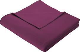 Wohndecke BIEDERLACK "Cotton Home", lila 