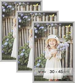 WOLTU Bilderrahmen 30x45 cm Silber, 3er Set