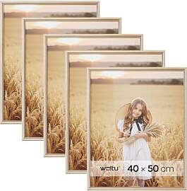 WOLTU Bilderrahmen 40x50 cm Gold, 3er Set