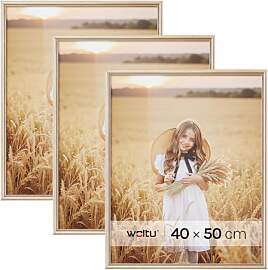 WOLTU Bilderrahmen 40x50 cm Gold, 3er Set