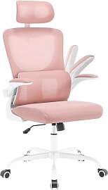 WOLTU Bürostuhl ergonomisch, Schreibtischstuhl