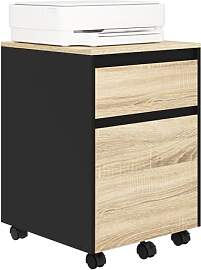 WOLTU Rollcontainer, Aktenschrank mit 2