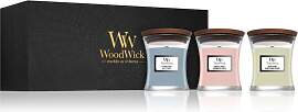 Woodwick Evening Onyx & Solar Ylang &