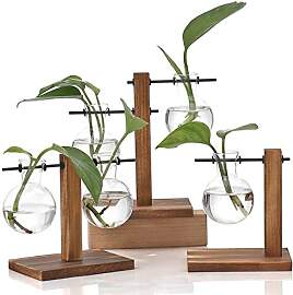 WUWEOT 3 Stück Hydroponik Glasvase mit Holz