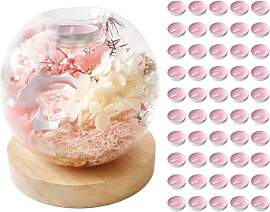 XHYASD Eternal Flower Glasglocke mit 50