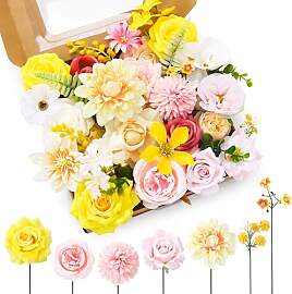 Xialvyu Rosa, Weiß, Gelb, Kombibox mit