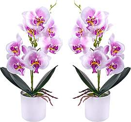 XONOR Künstliche Orchideenblumen, 2 Stück