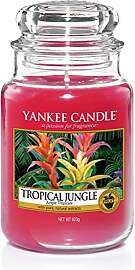 Yankee Candle Duftkerze im Glas (groß) | Tropical 
