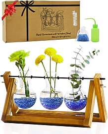 Yeomoo Blumenvase Terrarium Pflanzen mit Ständer