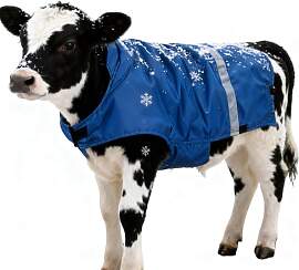 Yulokdwi Winterdecke Für Kälber - Bauchschutz