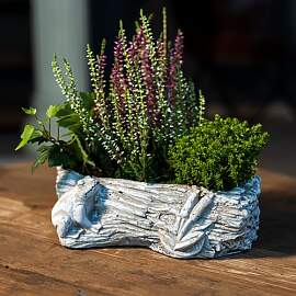 Zement Pflanzschale grau Baumstamm mit Frosch 12 x 