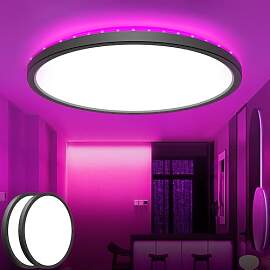 zemty 2 Stück 30CM LED Deckenleuchte Dimmbar, 24W 