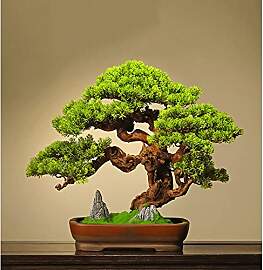 ZJFJMBD Künstlicher Bonsai-Baum,