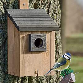 Zooprinz Nistkasten für Wildvögel – Massiv-